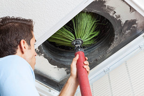 Best HVAC System Cleaning  in Brownsville, FL
