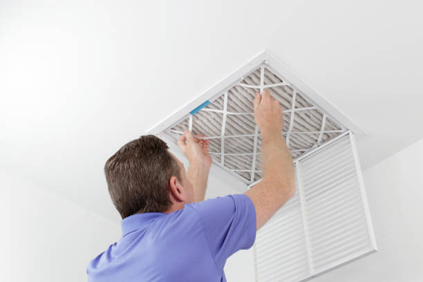 Best Affordable Duct Cleaning Services  in Brownsville, FL